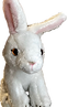 HEIF Image-A1ABF3BAEA36-1_edited_edited.png