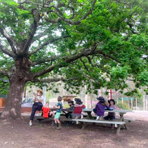 Christmas Hills Primary School - tree 01.jpeg