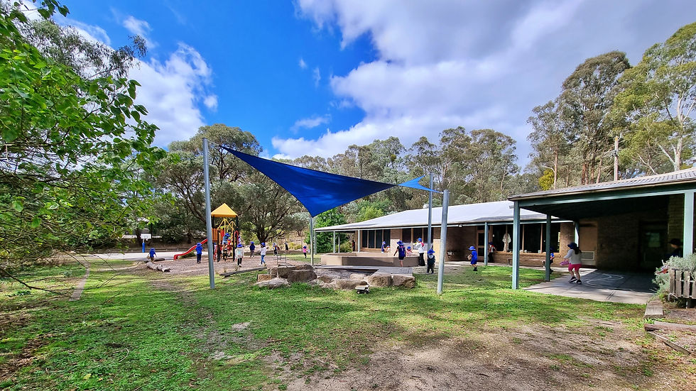 STAPS 20250404_132131.jpg