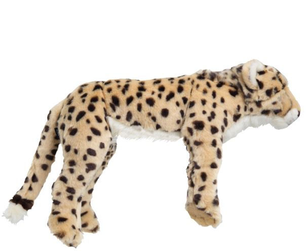 Thumbnail: Cheetah Cub Plush Rental