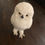 Thumbnail: Arctic Owl Rental