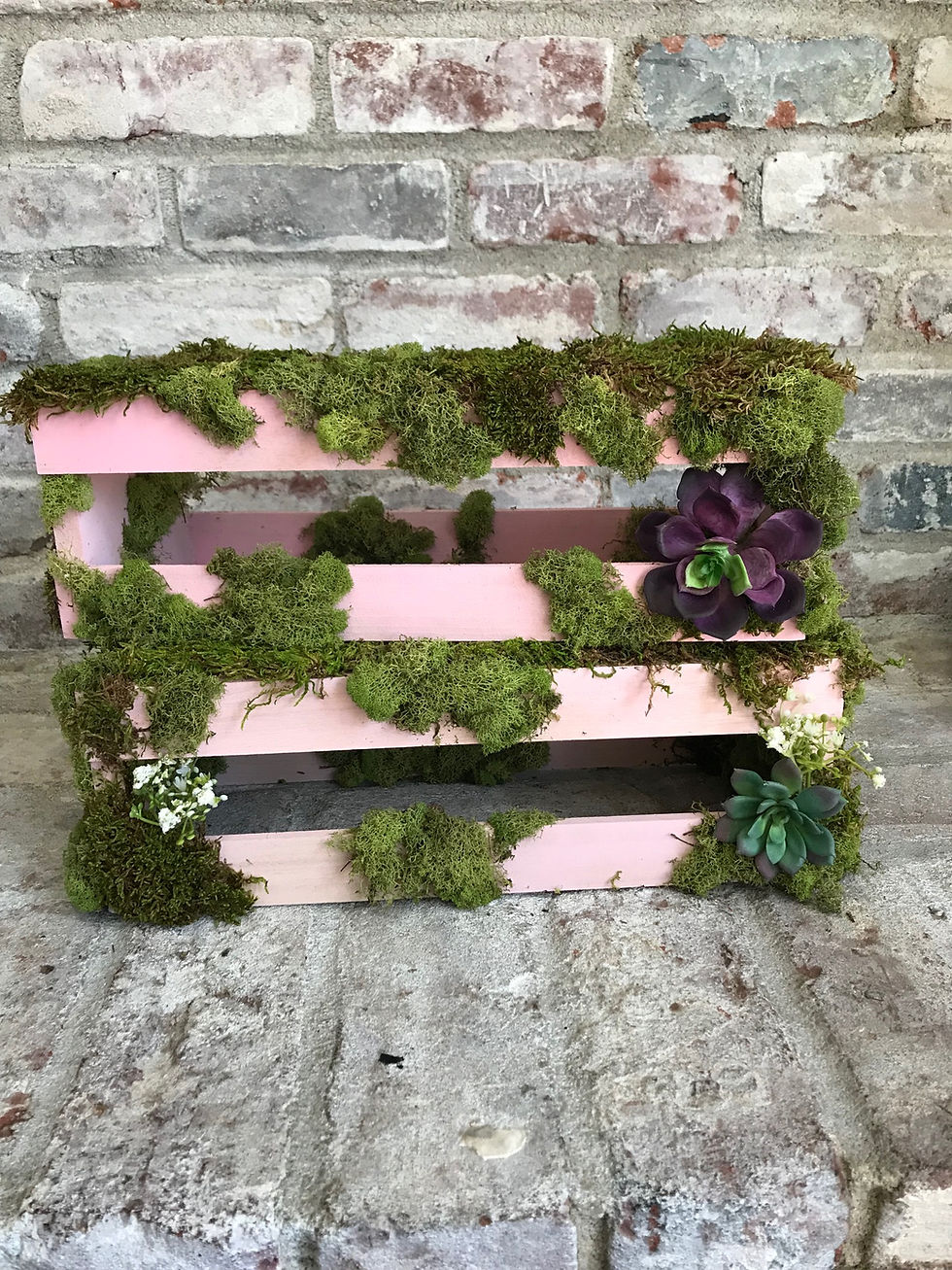 Thumbnail: Pink Moss Risers Rental