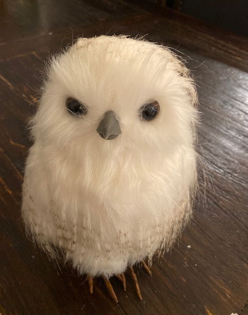 Thumbnail: Aspen Owl Rental
