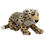 Thumbnail: Cheetah Cub Plush Rental