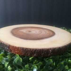 Tree Stump Charger Rental
