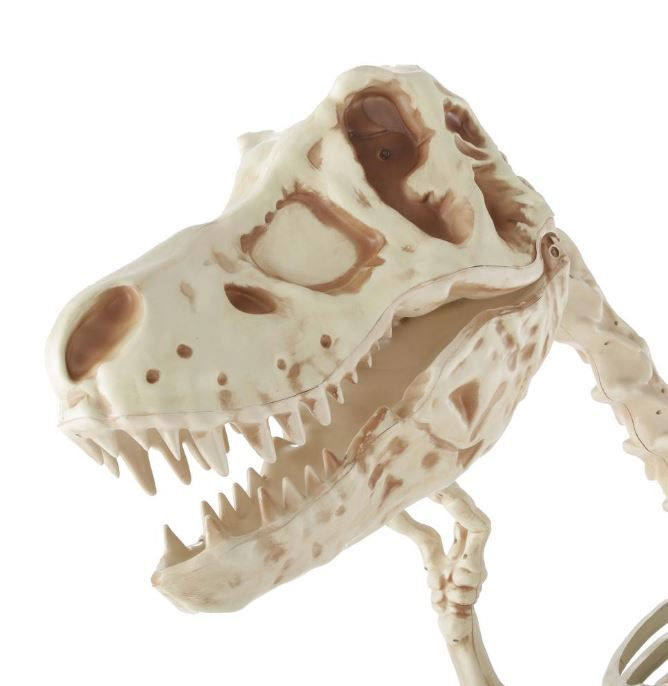 Thumbnail: Dinosaur - 9ft T-Rex Rental