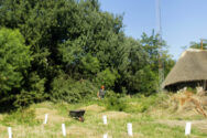 07_pdc_temario-188x125.jpg