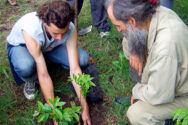 ecologia-bosques-1-188x125.jpg