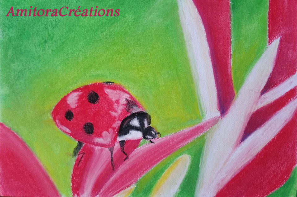 coccinelle.jpg