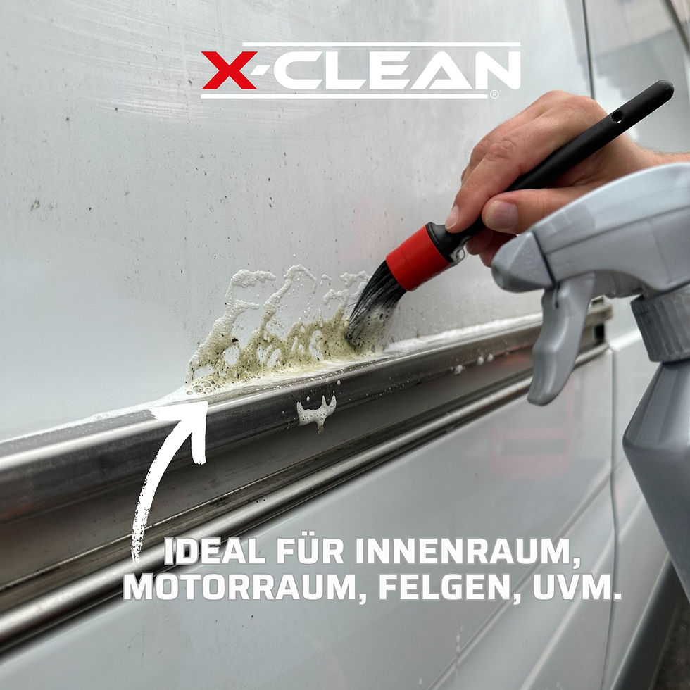 Miniaturbild: X-CLEAN Pinsel SET