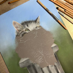 Work in progress on Rosie Normans art desk of a longhair cat 