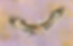 KITEFLIGHTDONESMALLEST.jpg