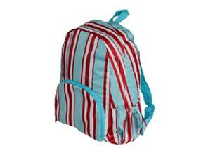 Pak to go Stripes