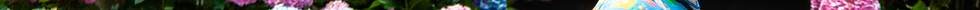 3D3A4264.jpg