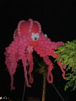 NOTTE ROSA RIMINI