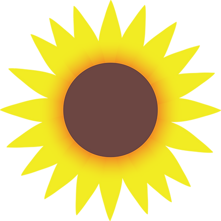 Sunflower.png