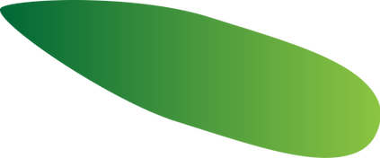 Leaf.png