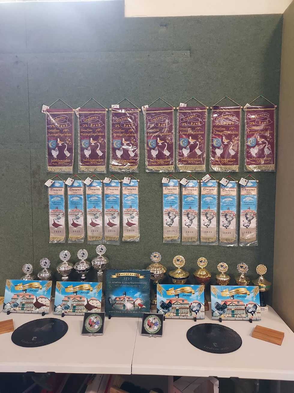 WhatsApp Image 2025-11-11 at 20.16.56 (1)