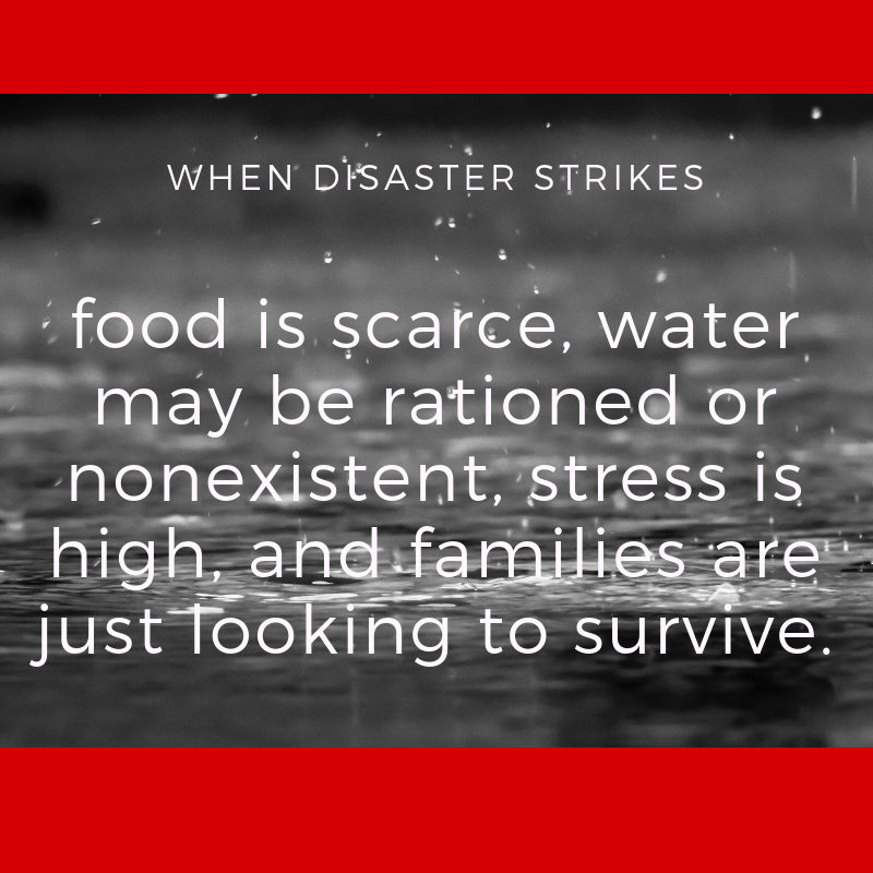 black and white photo of rain falling on red background with the words "When disaster strikes, food is scarce, water may be rationed or nonexistent, stress is high, and families are just looking to survive."