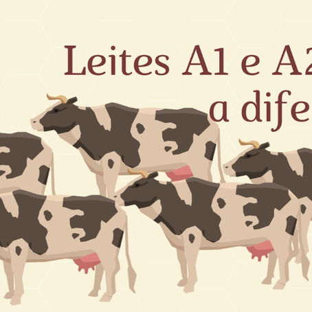Leites A1 e A2