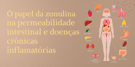 ZONULINA, marcador de permeabilidade intestinal