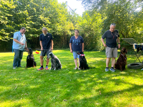 Sommerfest 2022