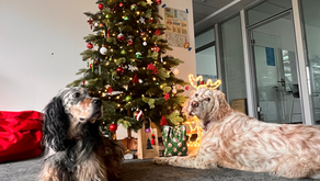 Ankündigung: Weihnachtsfeier 2023