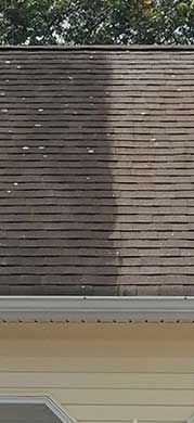Roof Soft Wash.jpg