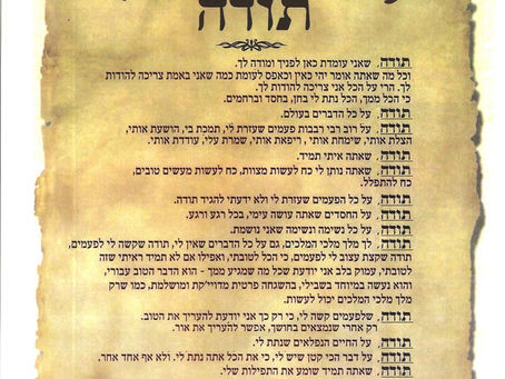 הודיה