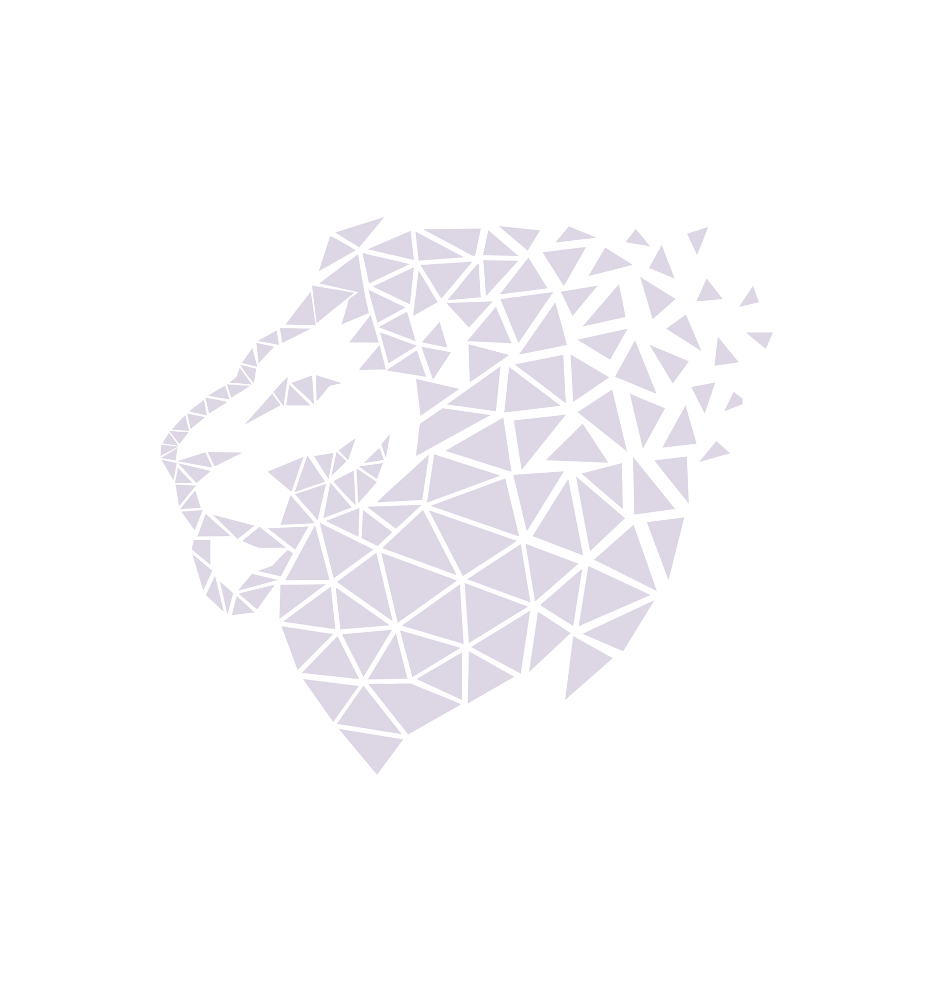 41_edited_edited_edited.png