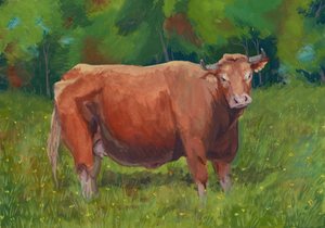 Cow
