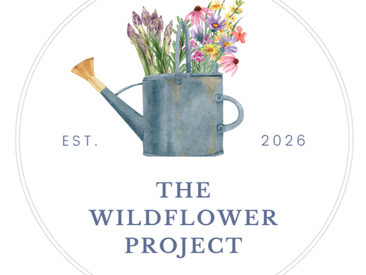 MDW Cares Announces The Wildflower Project: A Nature-Based Program Designed to Help Teenage Girls Build Connection