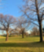 Earlscourt Park Toronto, large greenspace in the city