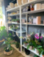 May Flowers Floral Co flowers and plants shop