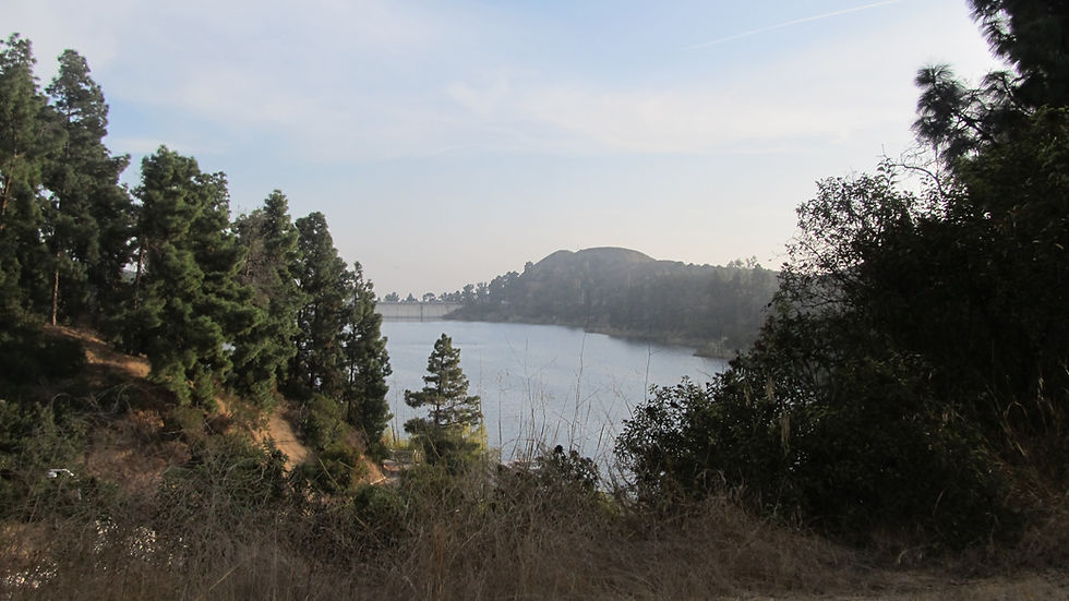 Walking or Hiking