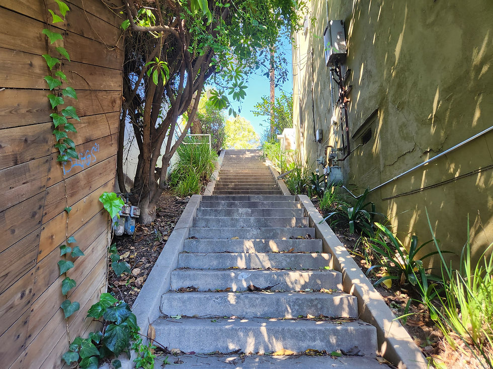 The Lost Staircases of Los Angeles