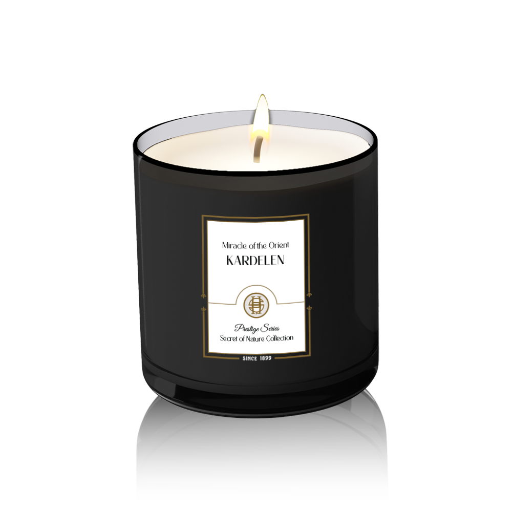 KARDELEN / Miracle of the Orient Mum