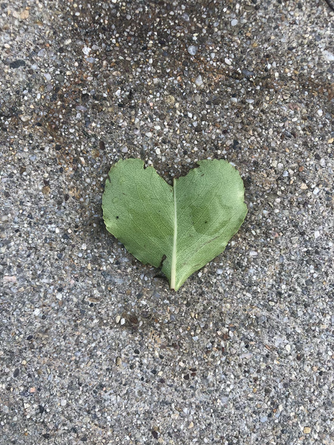 Heart of Leaf