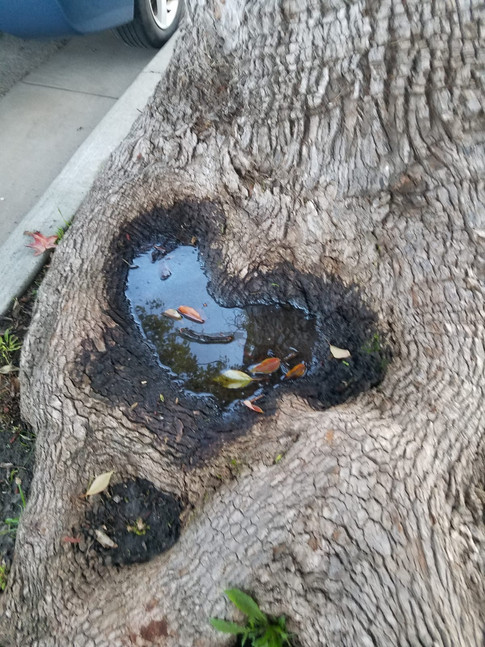 Heart of puddle.