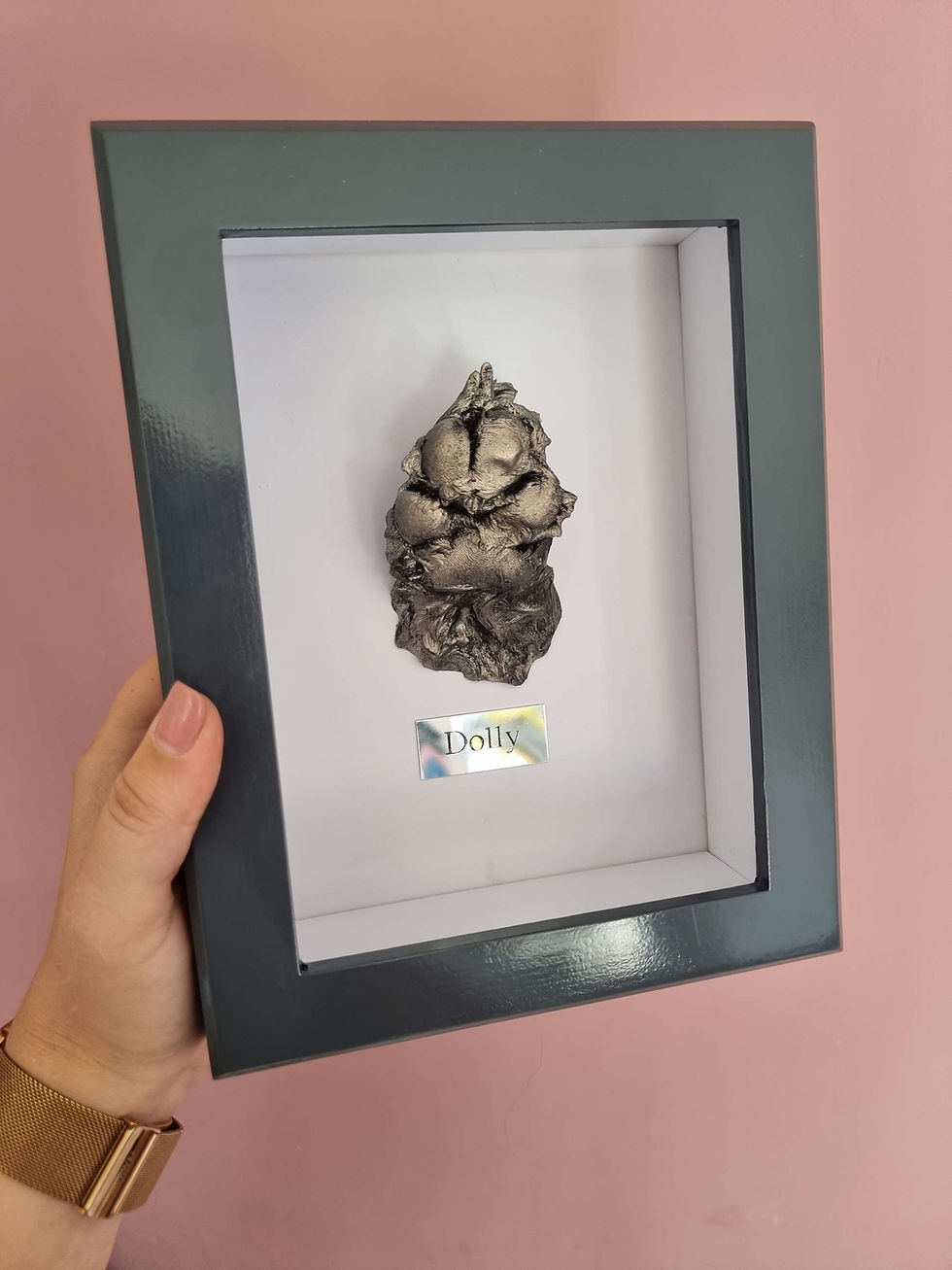 Thumbnail: Paw Prints
