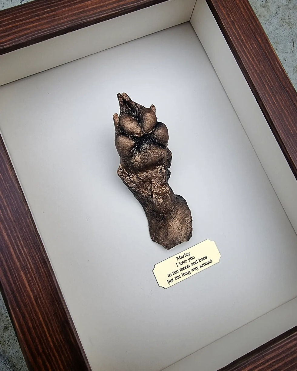 Thumbnail: Paw Prints