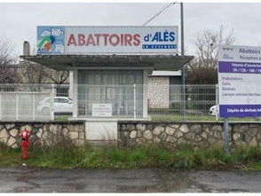 Abattoir municipal d'Alès, aucune volonté affichée de le relancer, l'agglo orchestre sa mort en ne faisant rien !