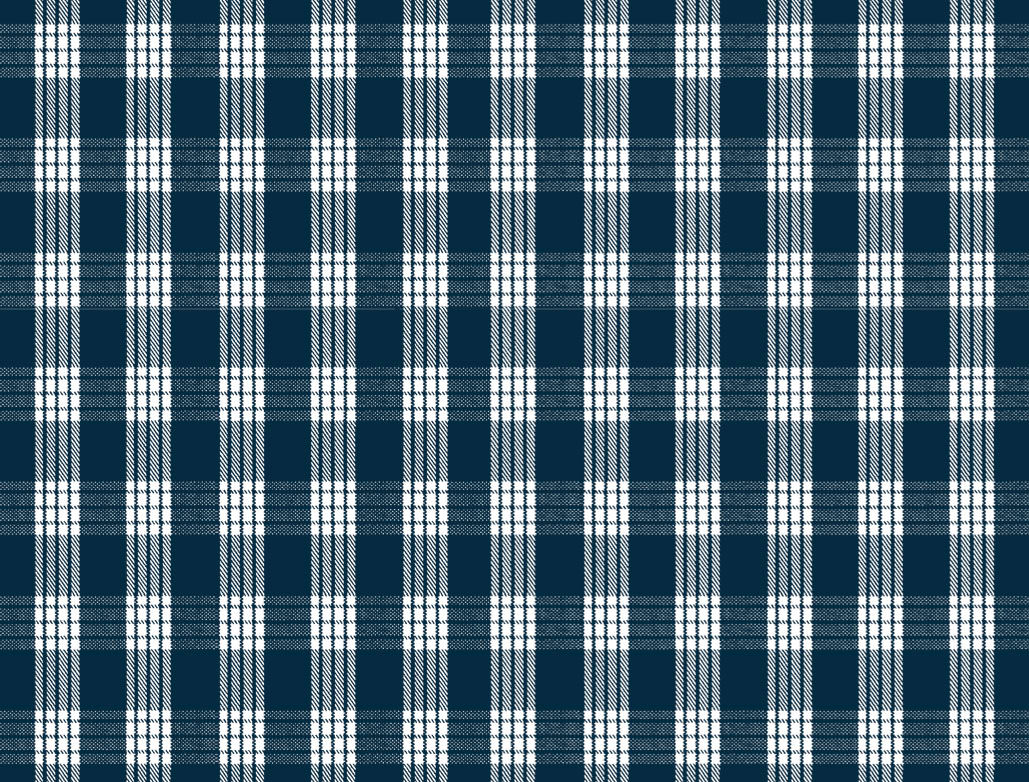 PALAKA Navy