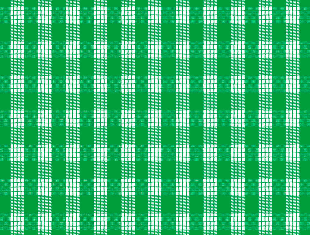 PALAKA Kelly