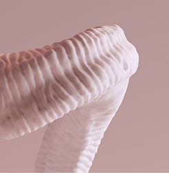 3D Ibex Horn