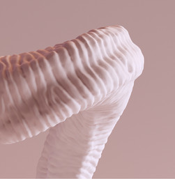3D bouquetin Corne