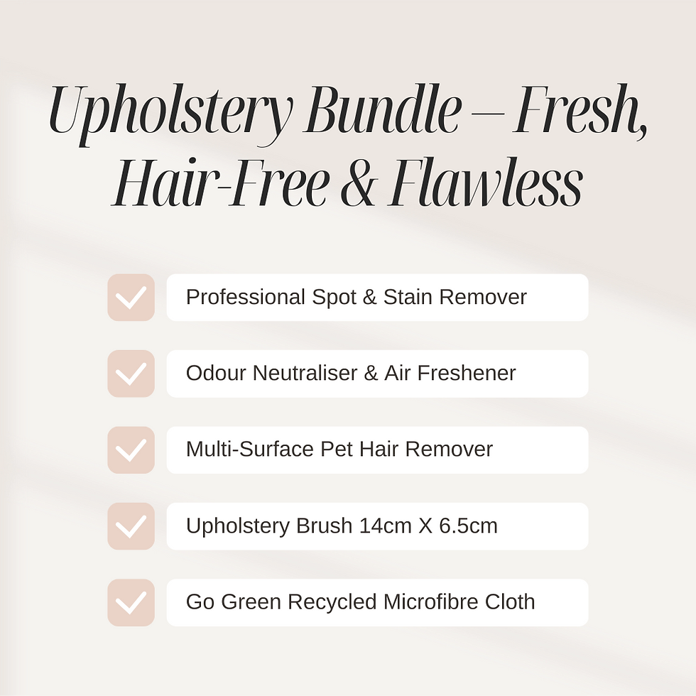 Text list of items in upholstery cleaning kit – stain remover, odour neutraliser, pet hair scraper, brush and cloth