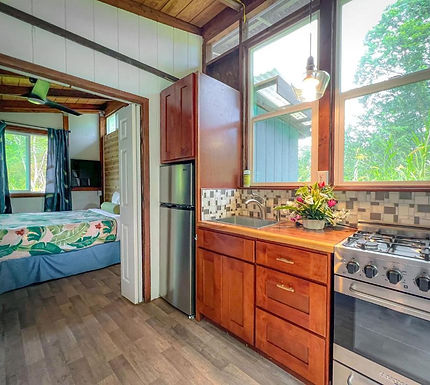 cabin kitchen.jpg
