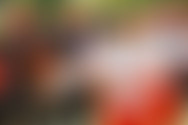 Indonesia Menari 2019 Digelar di 7 Kota Indonesia Akhir Pekan Ini