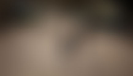 Wanita Ini Ditangkap karena Meludah Berkali-kali di Bus dan Kereta